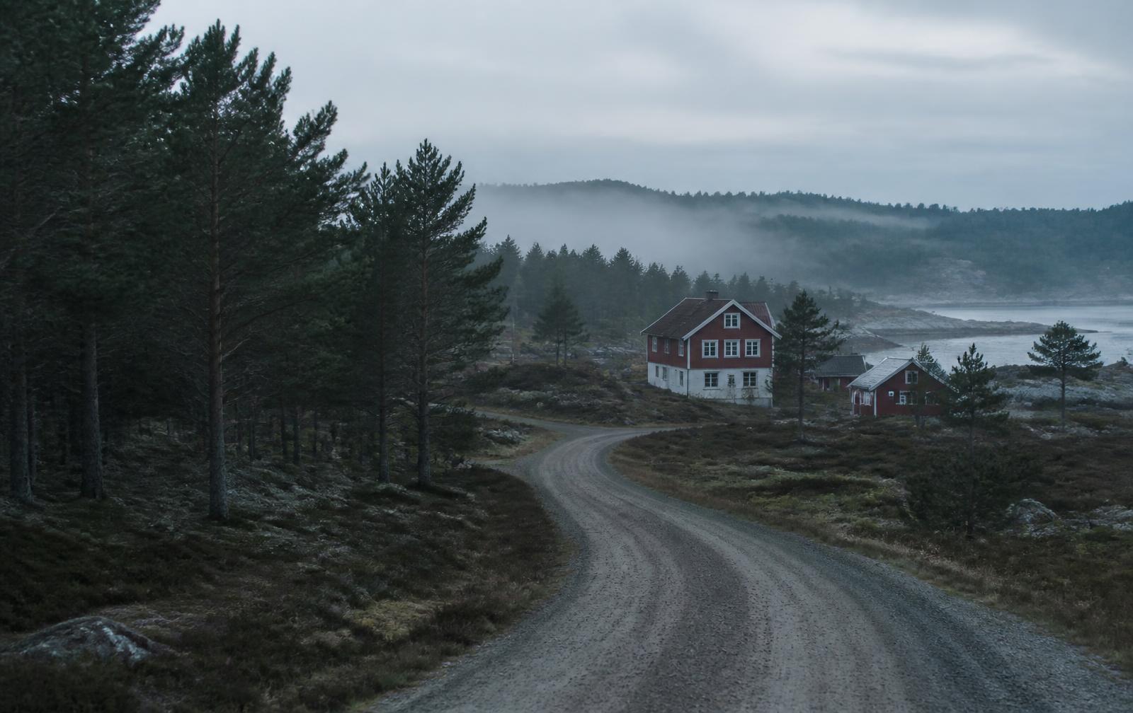 Grusväg genom skog mot röda hus vid vattnet en dimmig morgon